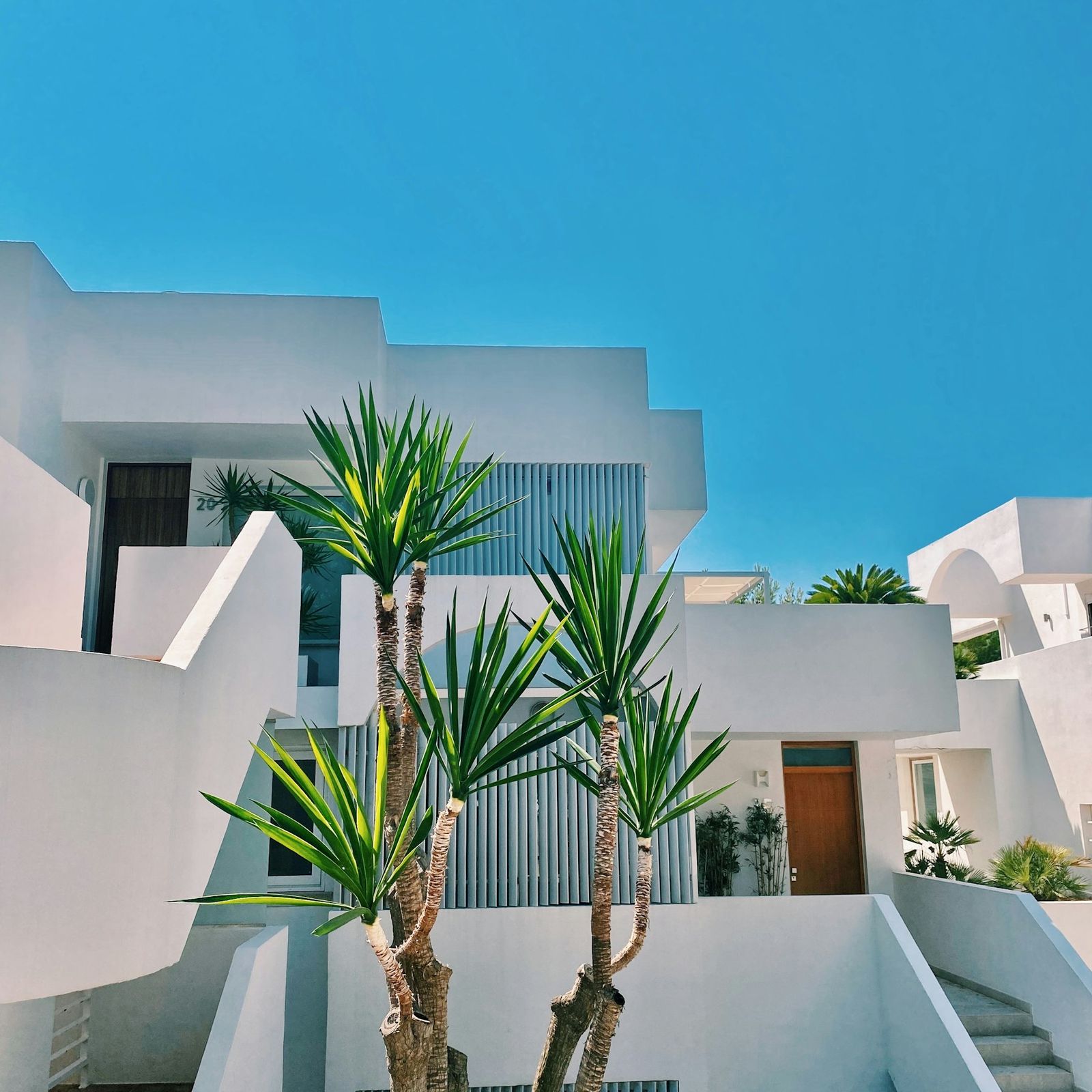 White cubic houses with palms and agaves against a deep blue sky
