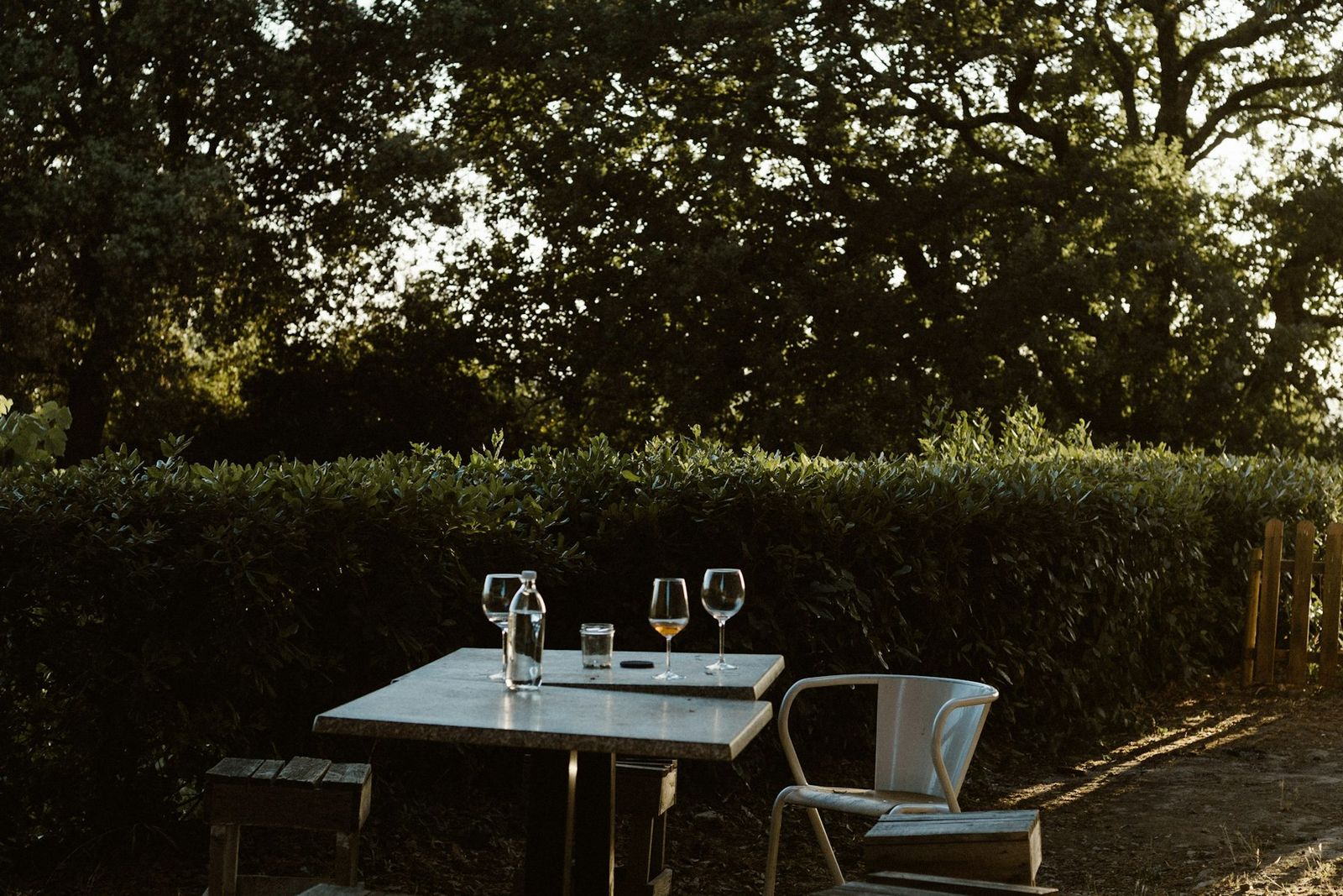 Table set for two under a tree in the evening light